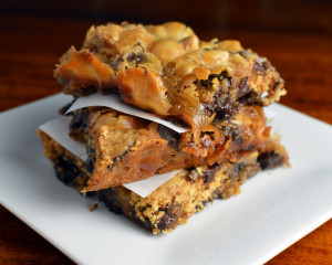 Summertime S'more Bars