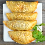 Argentinian Beef Empanadas